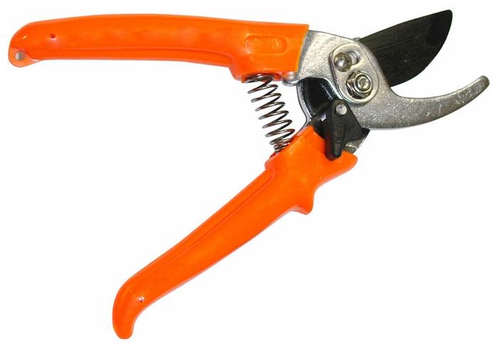 Изображение Секатор Park HG0039 (270104)