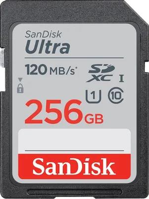 Изображение Карта памяти SanDisk SDXC Ultra Class 10 256 Гб  SDSDUN4-256G-GN6IN