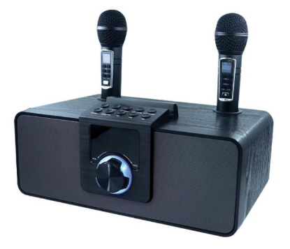 Изображение Портативная акустика Ritmix SP-660B (30 Вт   черный)