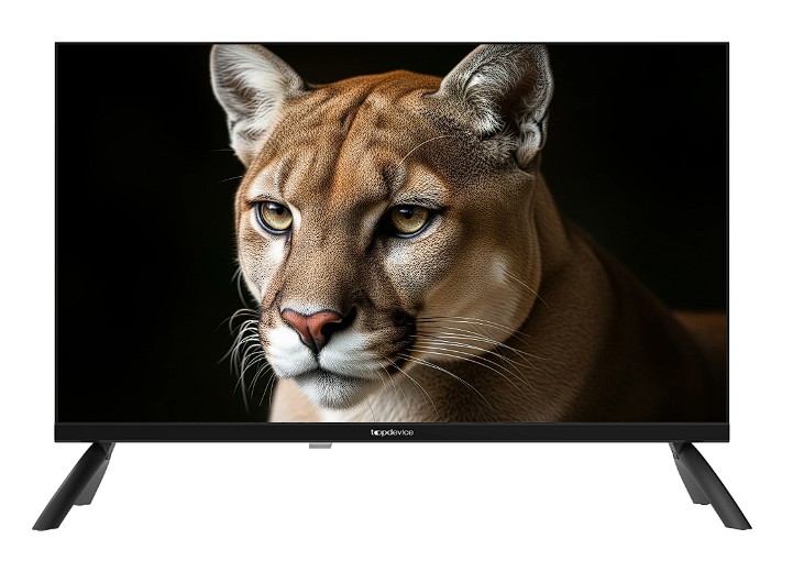 Изображение Телевизор Topdevice TDWC24BH1000I 24" 720p HD  черный